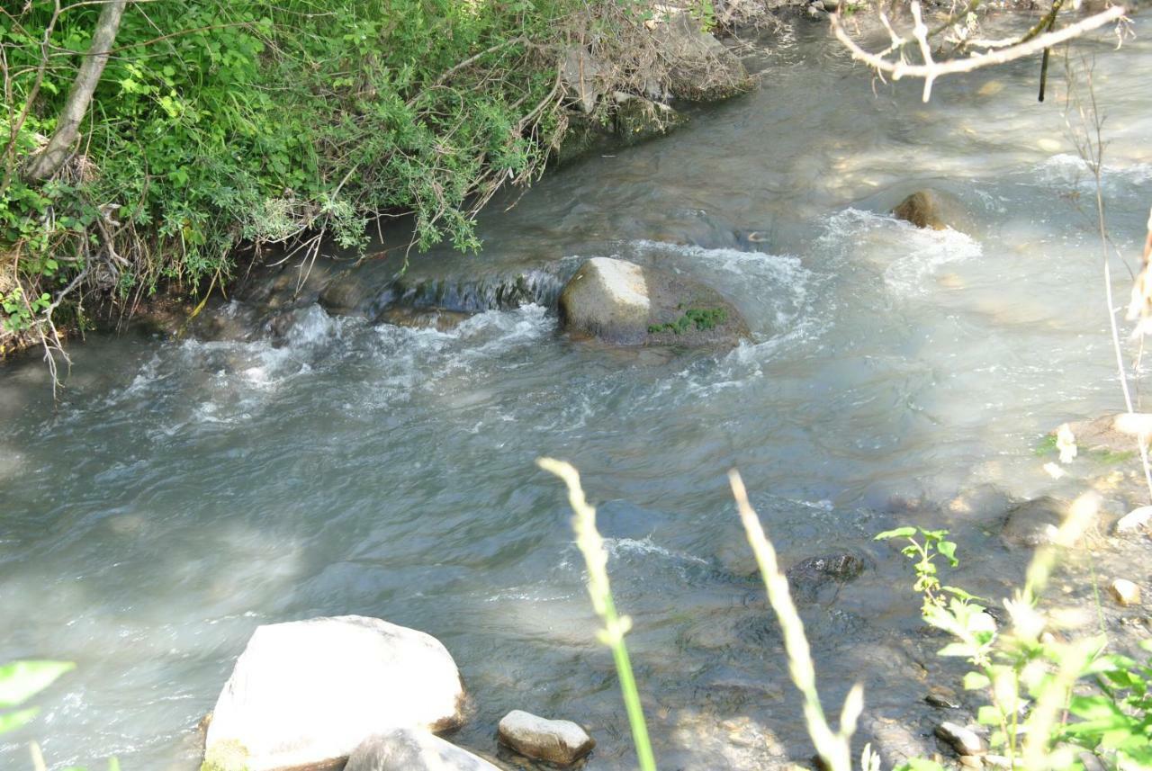 فندق Le Relais De La Forge Selonnet المظهر الخارجي الصورة